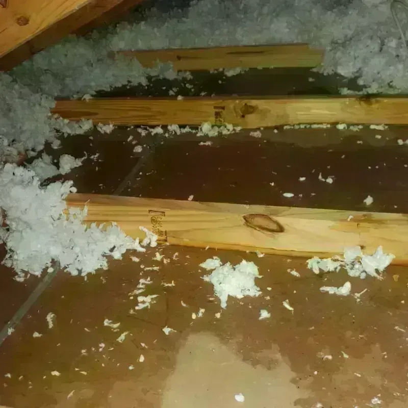 Attic Water Damage in Chatham County, NC