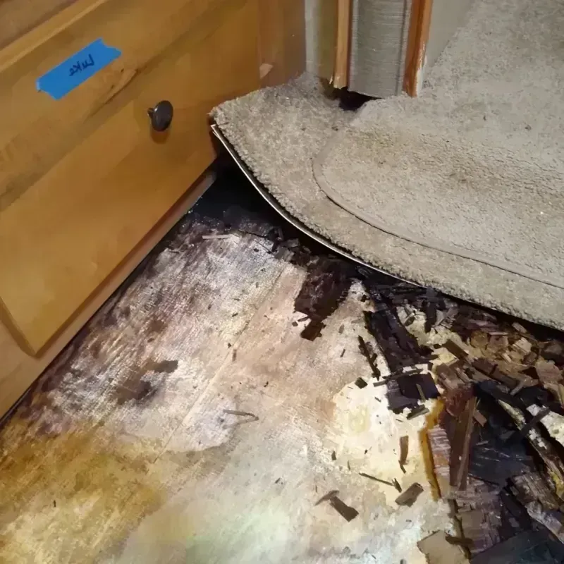 Wood Floor Water Damage in Chatham County, NC